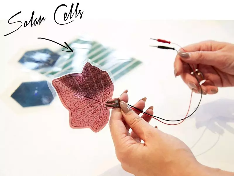 07-solar-cells