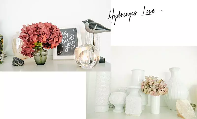 7-laura-dunkelmann-hydrangea
