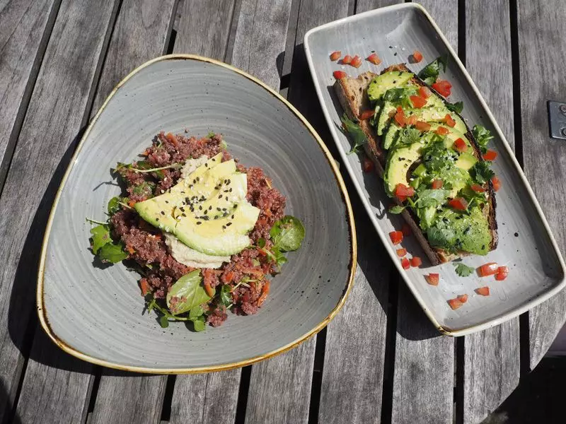 Femtastics-Fetch-Judit-Hallmanns-Avocadobrot