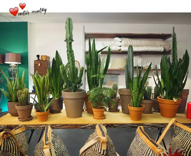 Femtastics-Marsano-Berlin-8