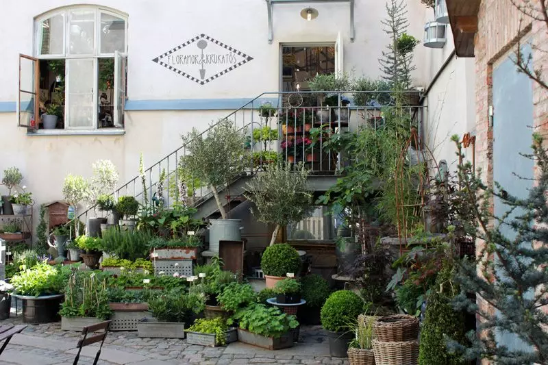 Hannah-FloramorochKrukatos-2