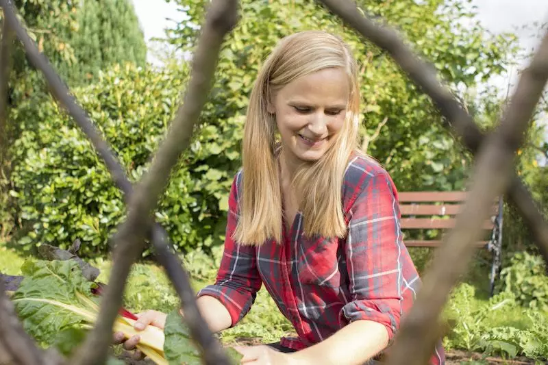Kleingarten-Makeover