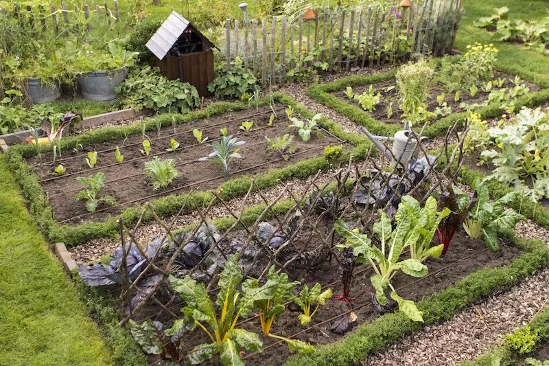 Schrebergarten-Beet-anlegen