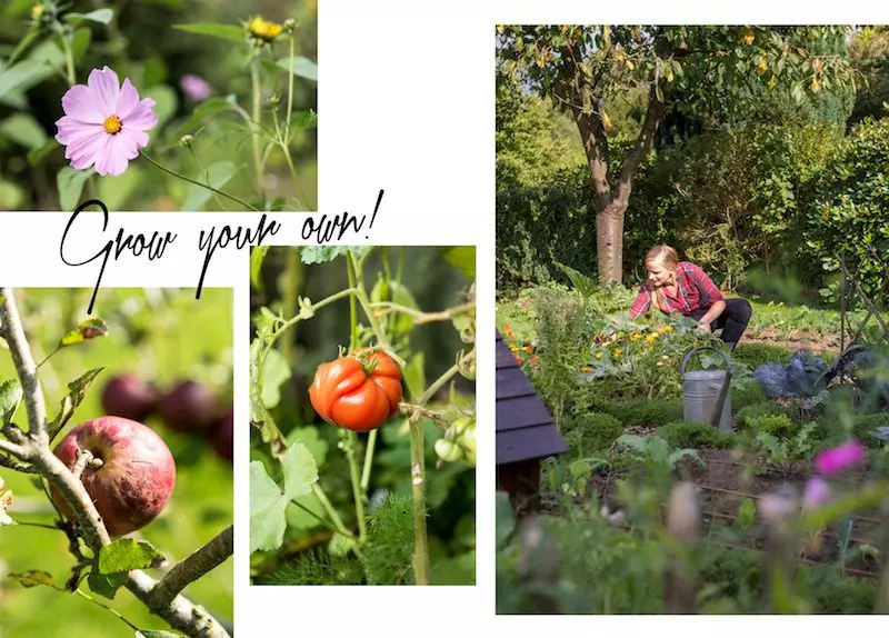 Schrebergarten-growyourown