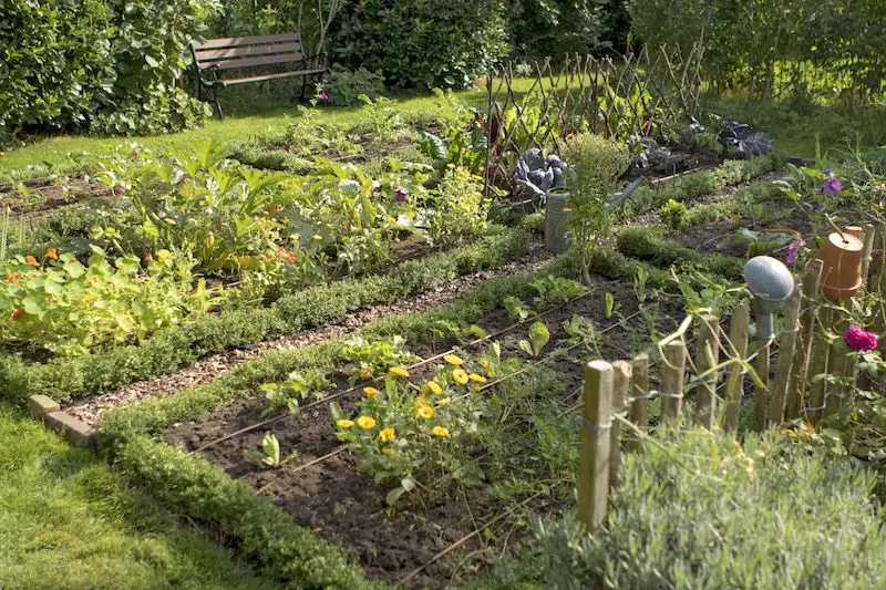Schrebergarten-in-Hamburg-finden