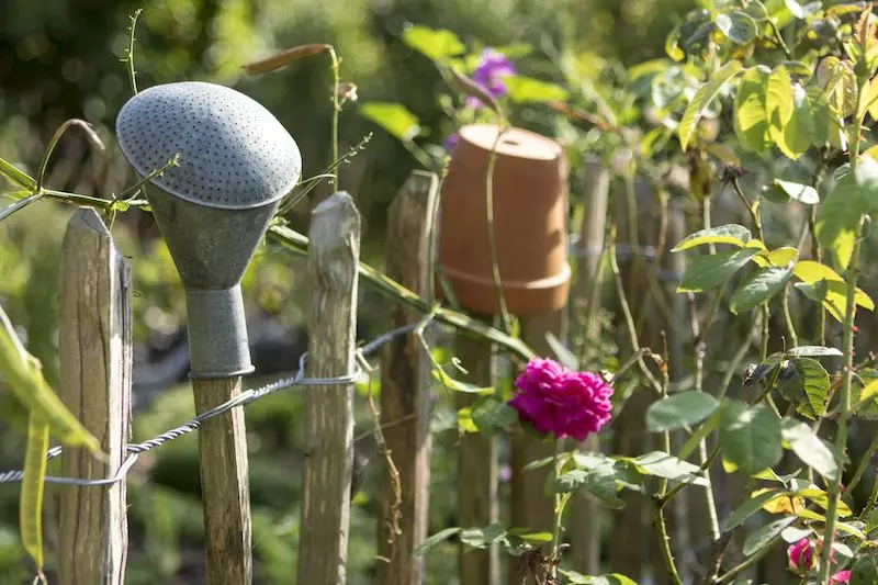 Schrebergarten-rankgitter-diy