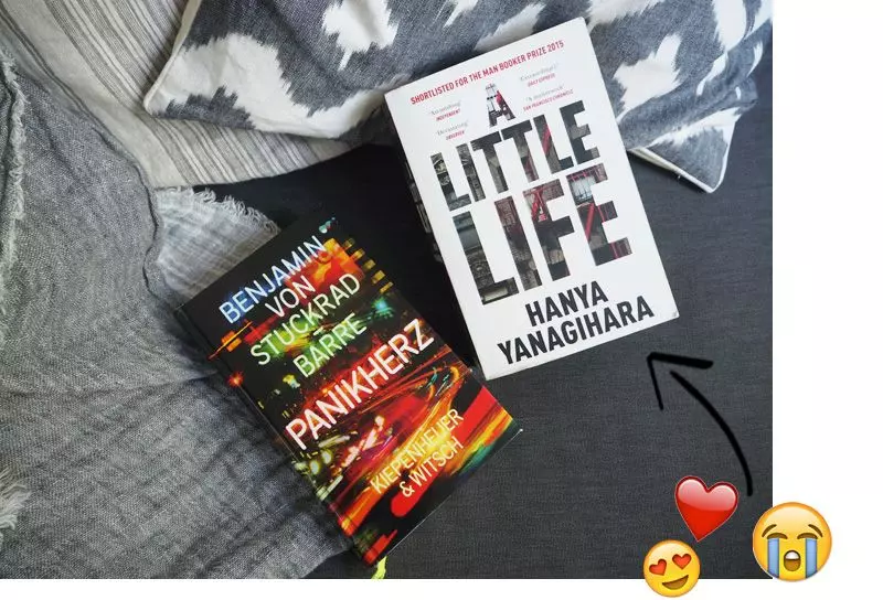 Themenwoche-Buch-Tipps-Anna-Panikherz-A-little-life