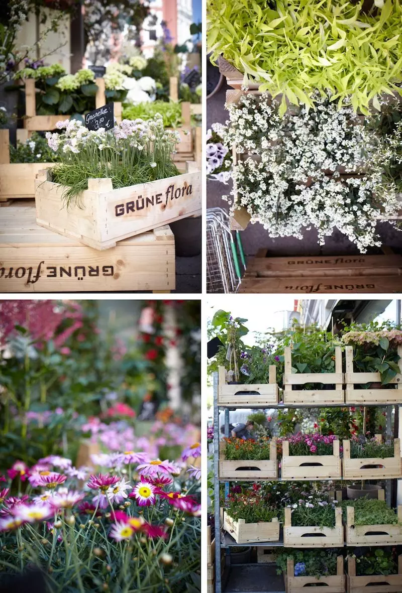 gruene-flora-flower-balkon