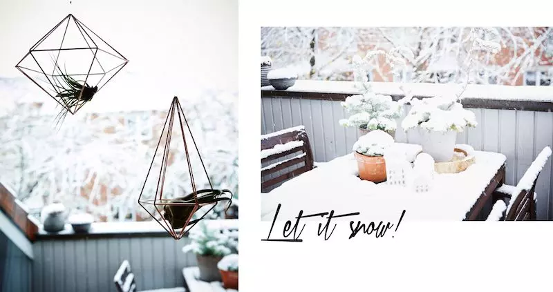 homestory-schnee