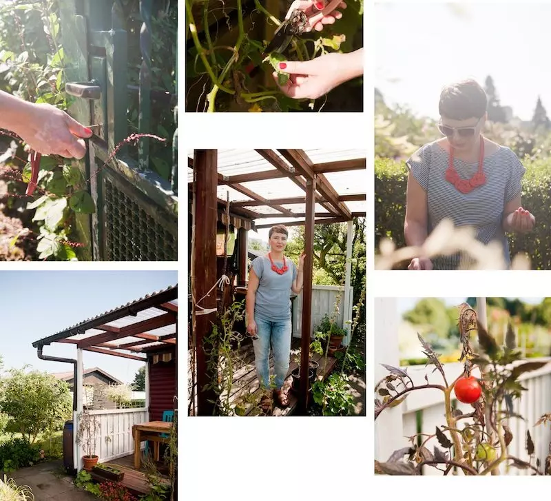 schrebergarten-eimsbuettel