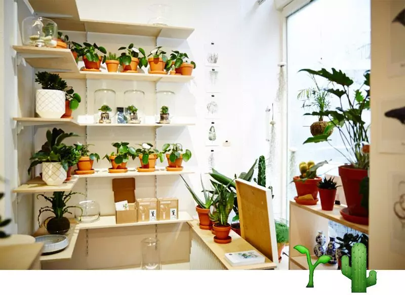 winkel-van-sinkel-hamburg