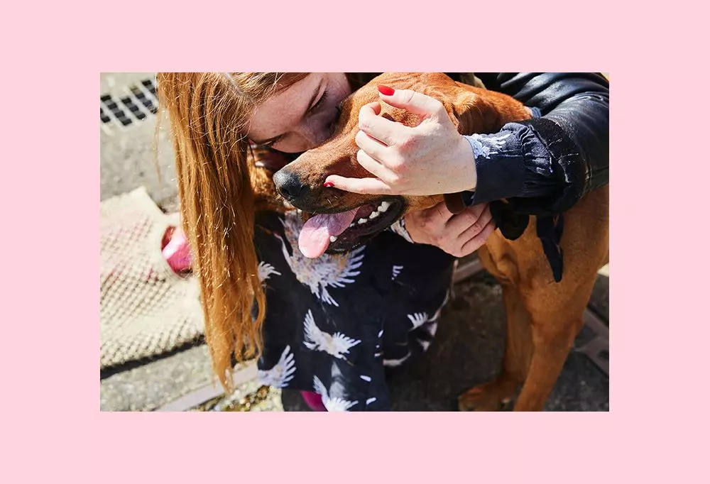 29-emmi-hund