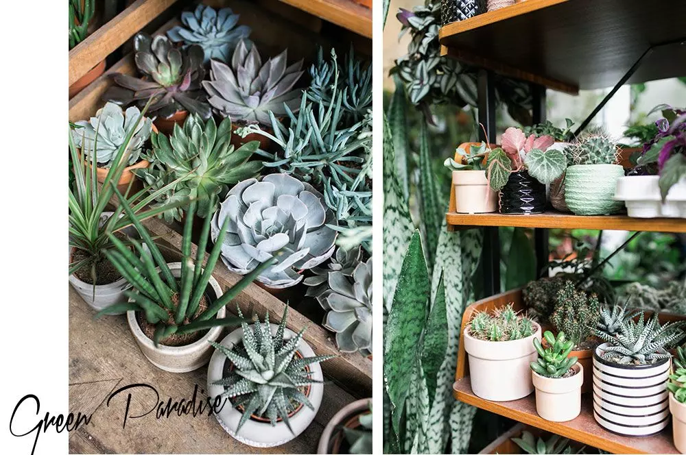 Femtastics-Conservatory-Archives-Hackney
