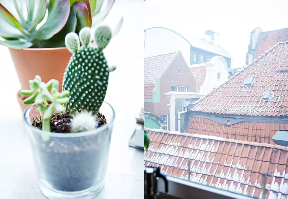 Femtastics-Jules-Wenzel-Wohnung-Ausblick