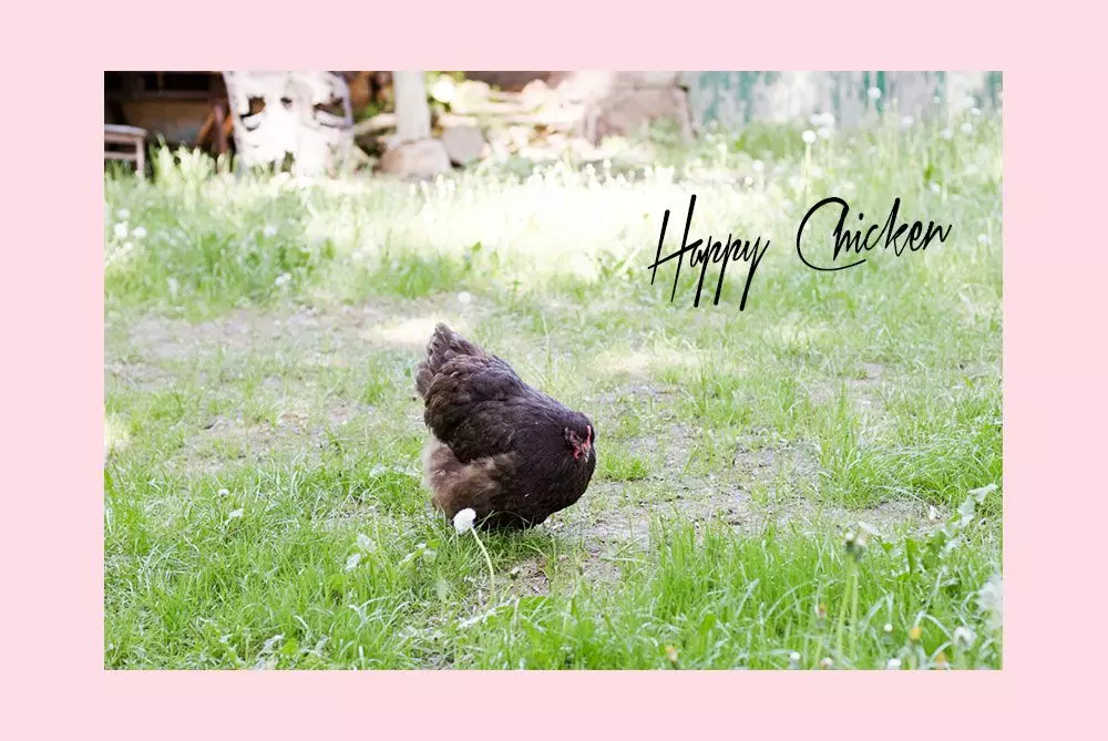 Femtastics-Nicole-Dau-Tiny-House-Huhn