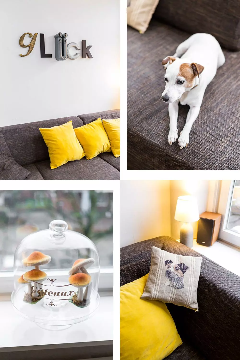 Femtastics-Yasmina-Osterdeich-Wohnzimmer-Hund