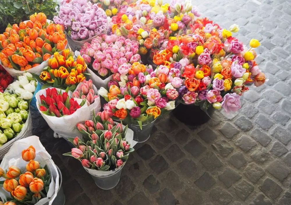Femtastics-Zuerich-Blumen