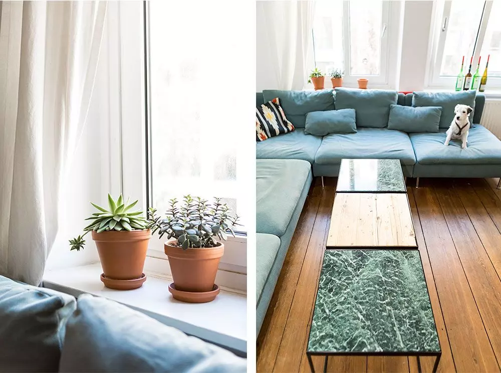 Homtastics_10Knoten_12