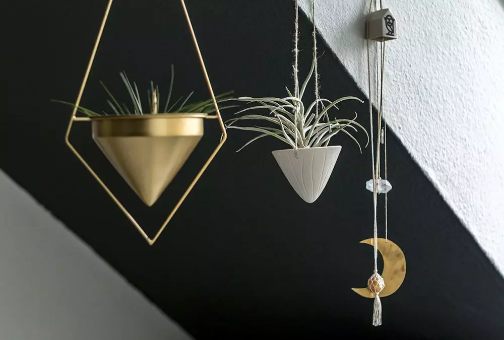 Homtastics_Urban-Jungle-Blogger_06