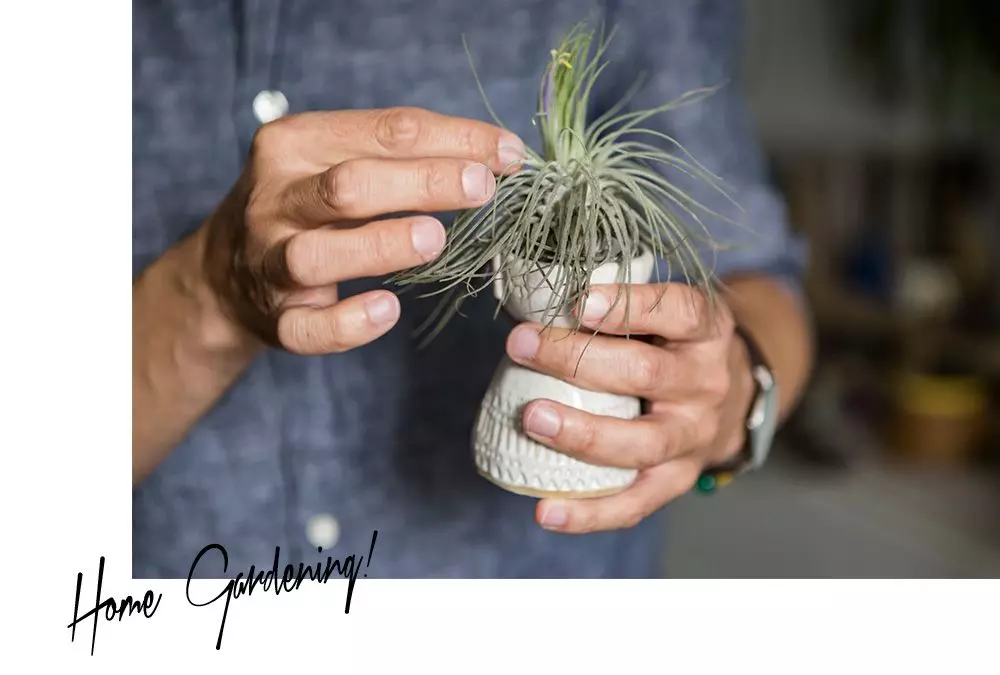 Homtastics_Urban-Jungle-Blogger_09