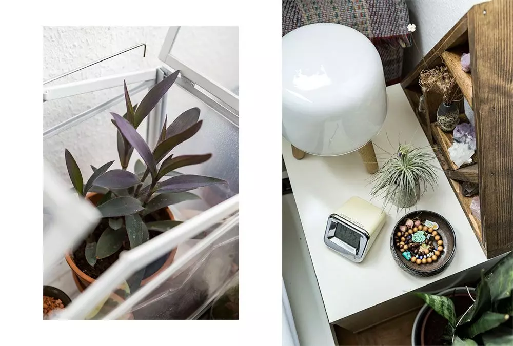 Homtastics_Urban-Jungle-Blogger_10