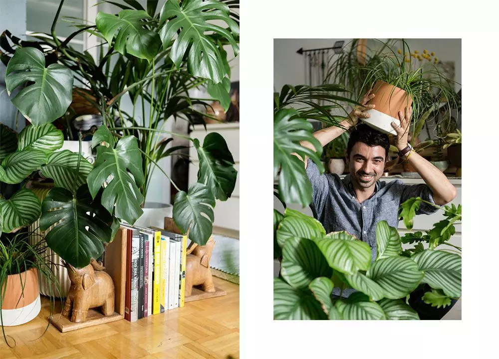 Homtastics_Urban-Jungle-Blogger_16
