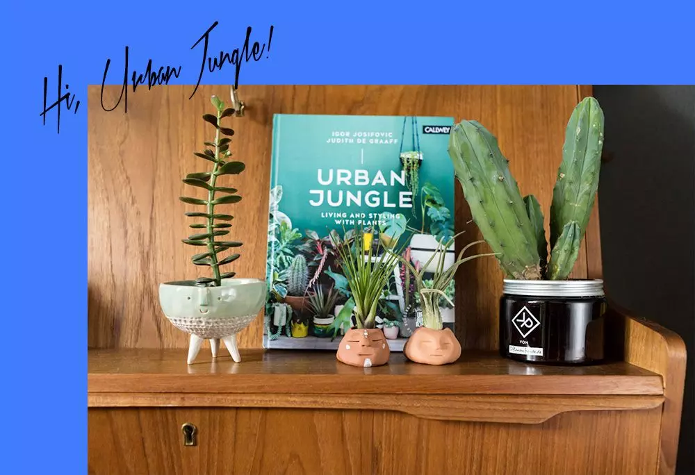 Homtastics_Urban-Jungle-Blogger_20