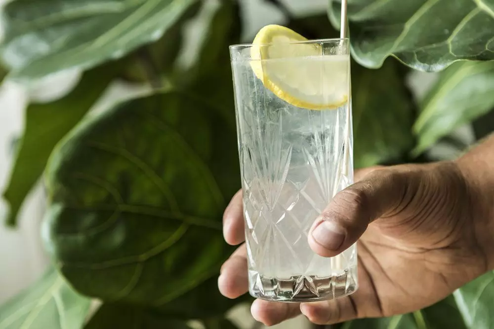 Tom-Collins-Rezept-modern
