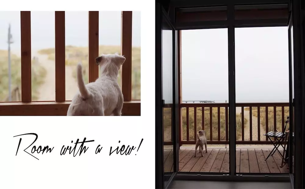 bretterbude-balkon