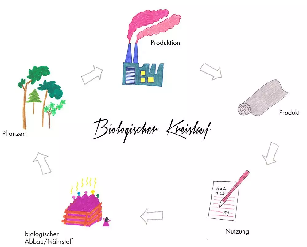 femtastics-cradle-to-cradle-bio-kreislauf-illustration-Stefanie-Rittler