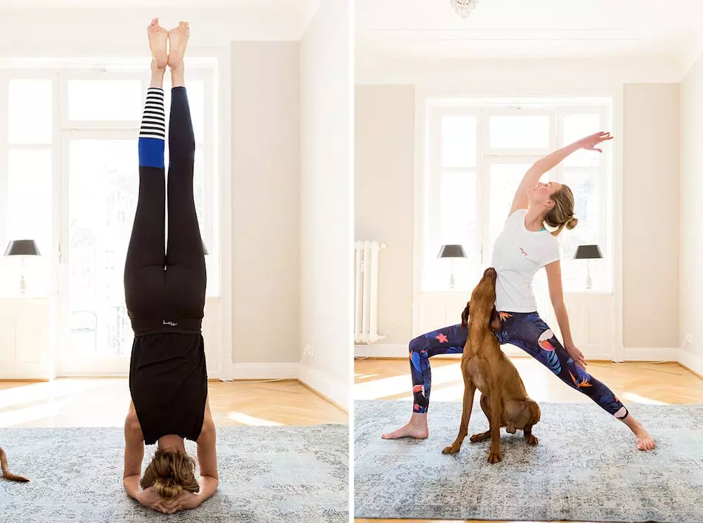 hey-honey-yoga-kollektion