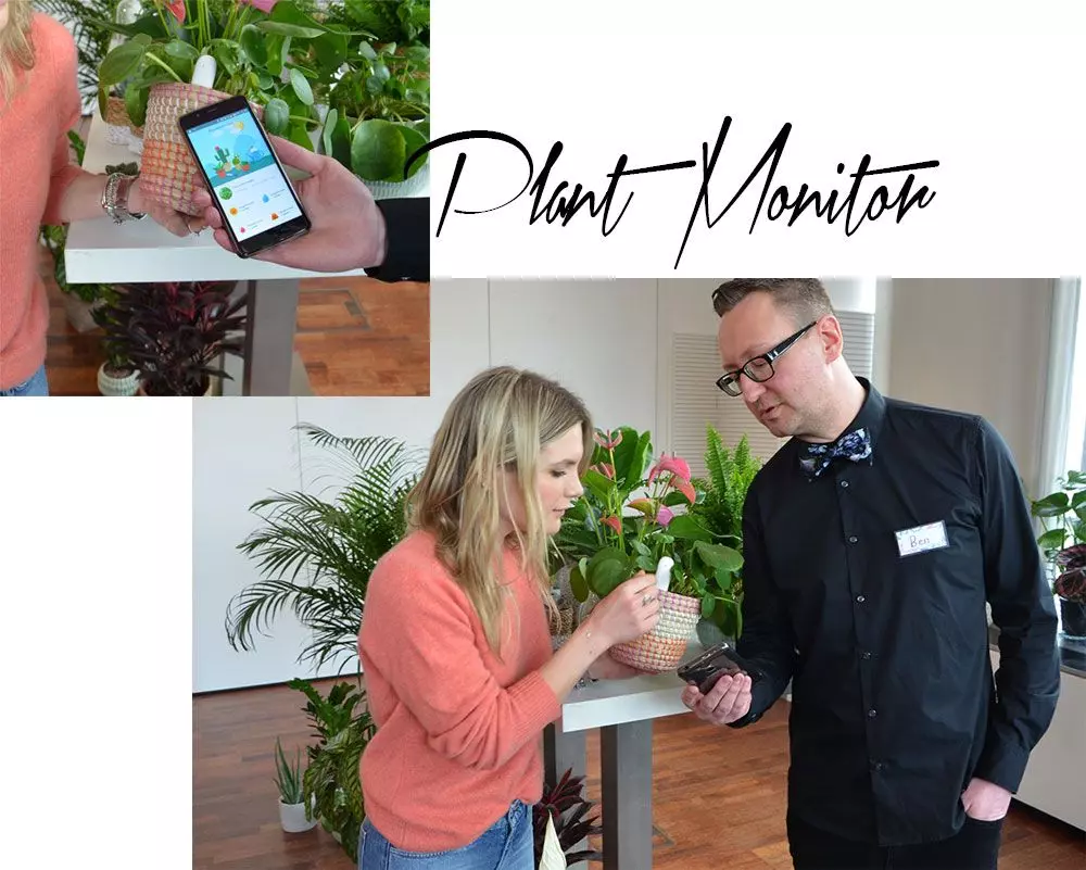 homtastics-Ben-Ganser-Plant-Monitor
