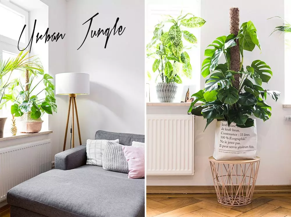 josie-loves-urban-jungle-trend