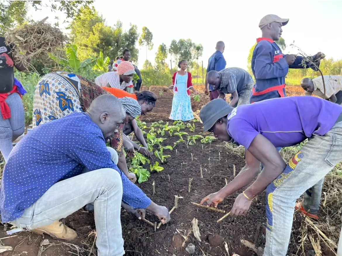 Otepic Farm arbeiten auf dem Feld