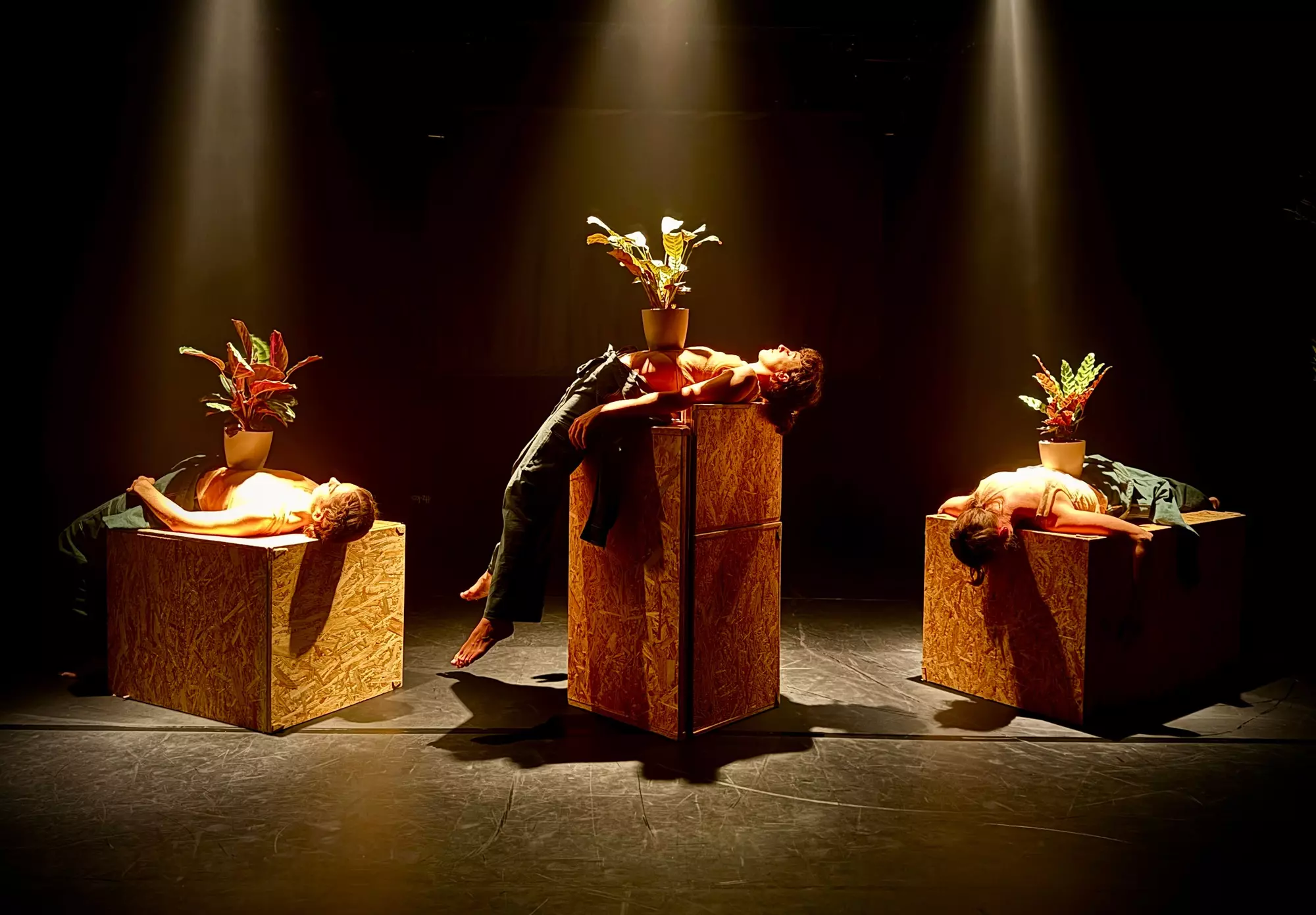 Auf drei Sperrholzkisten liegen drei Menschen die jeweils eine Pflanze im Blumentopf auf ihrer Körpermitte liegen haben