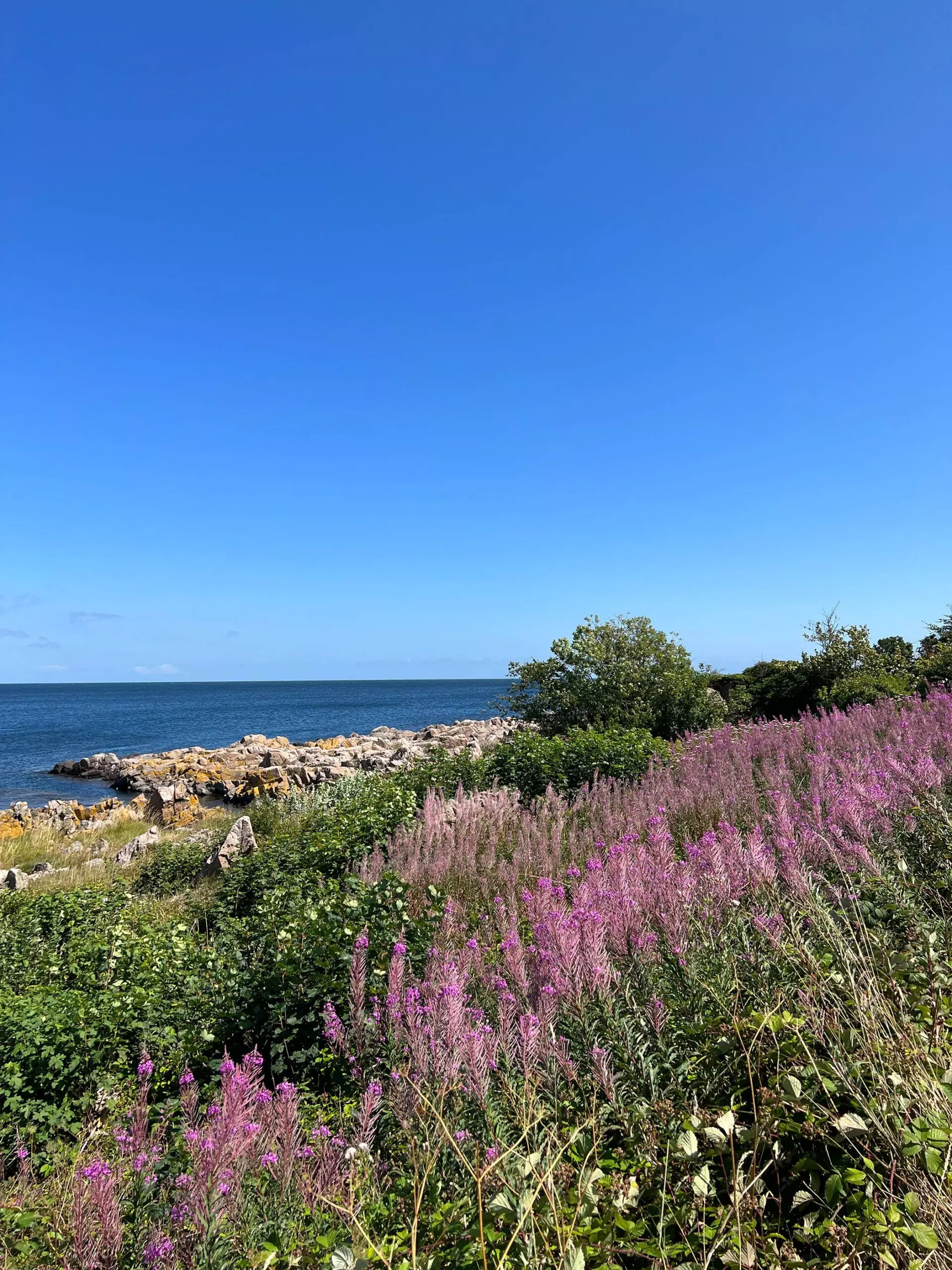 01-sandvig-2