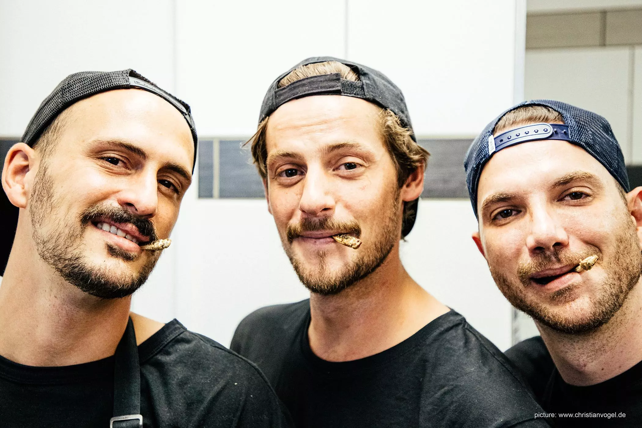 01-wicked-cricket-interview-homtastics