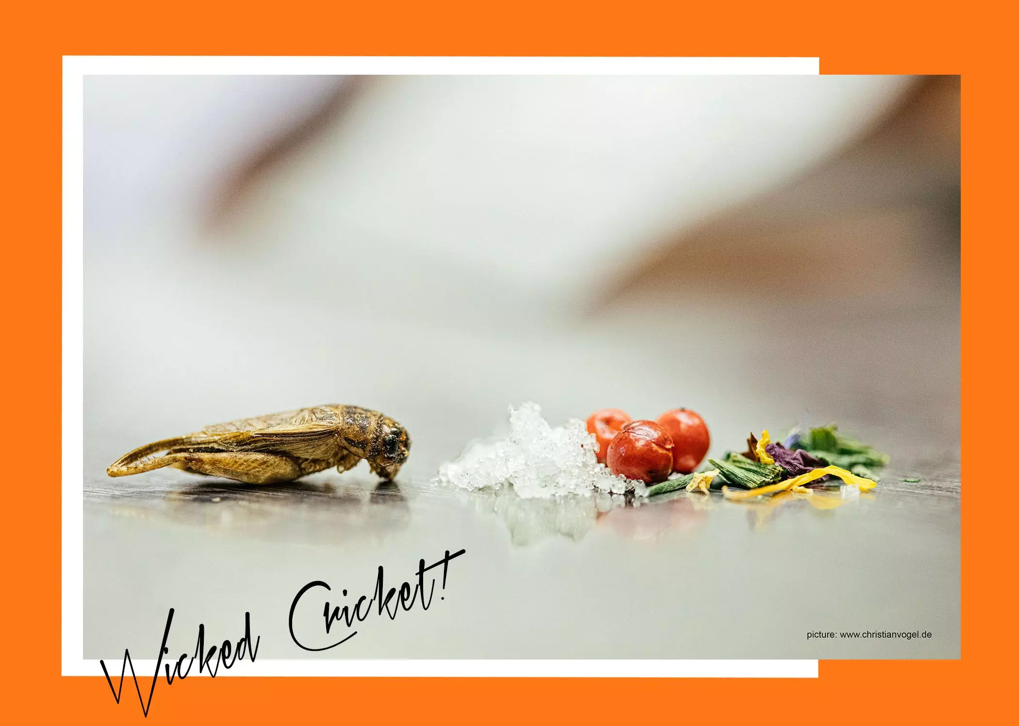 02-insektenessen-food-trend