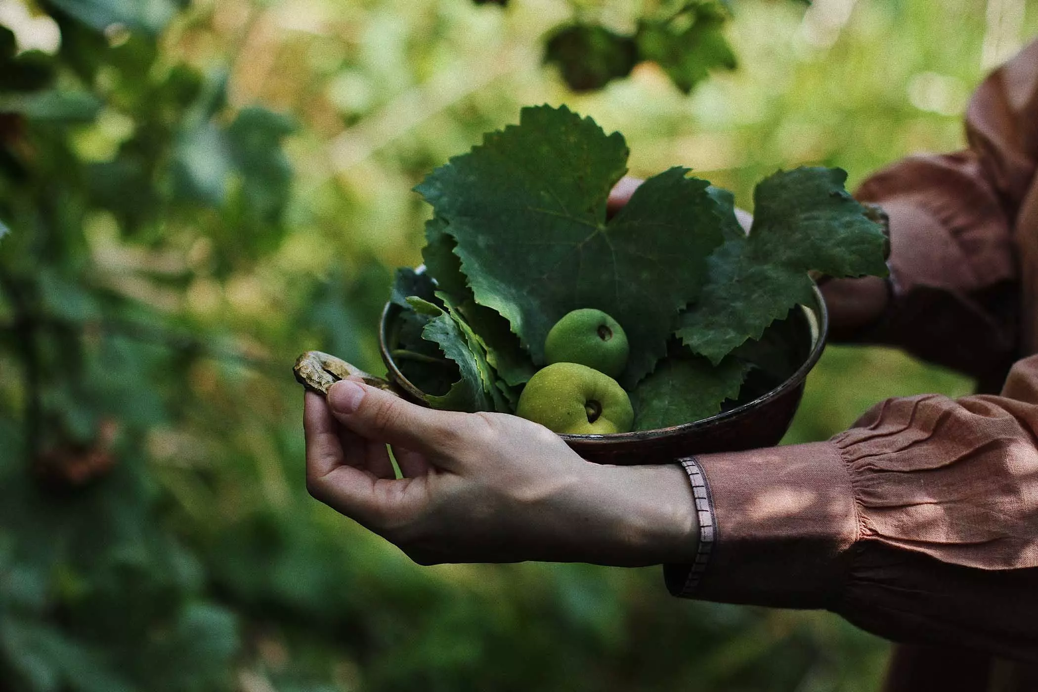 Busra Qadir erntet Obst in ihrem Garten | femtastics