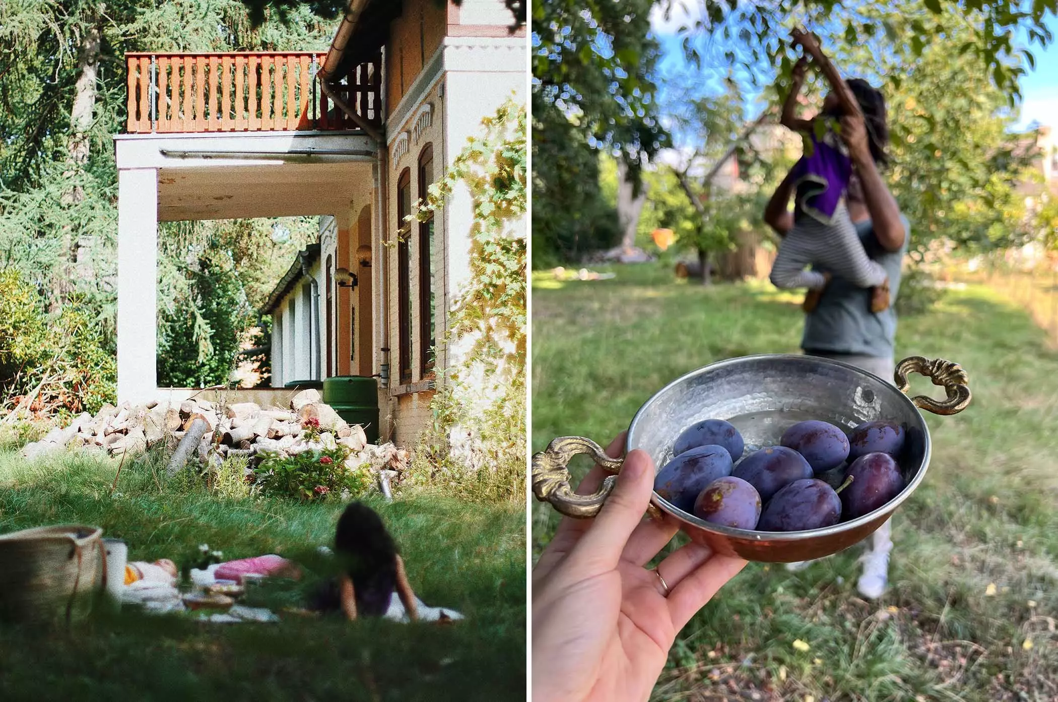 Busra Qadir erntet Obst in ihrem Garten | femtastics