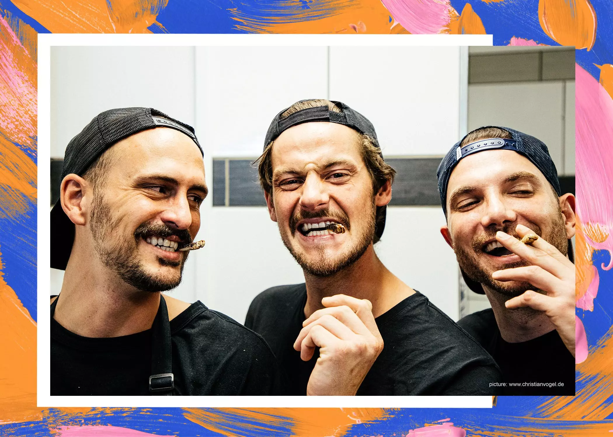 04-gruender-wicked-cricket-insekten