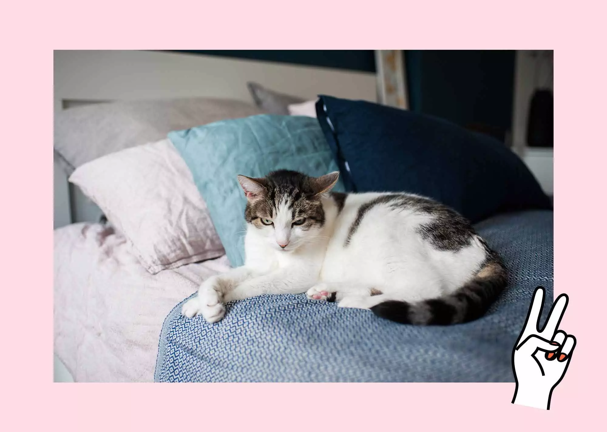 04-katze-verena-marmann