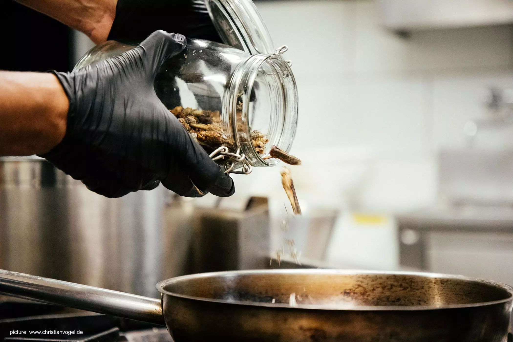 05-insekten-essen-femtastics