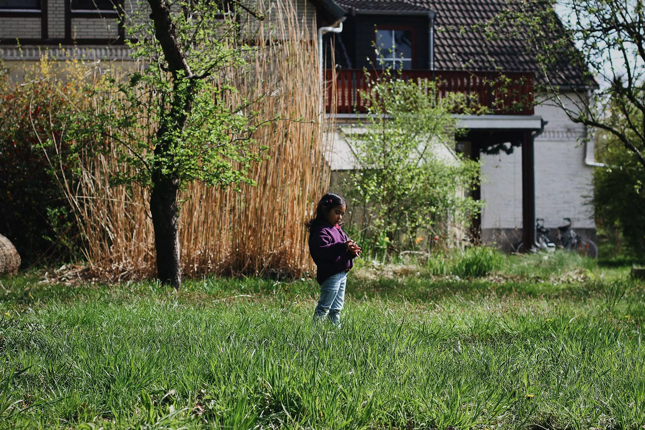 Kleines Mädchen im Garten - femtastics