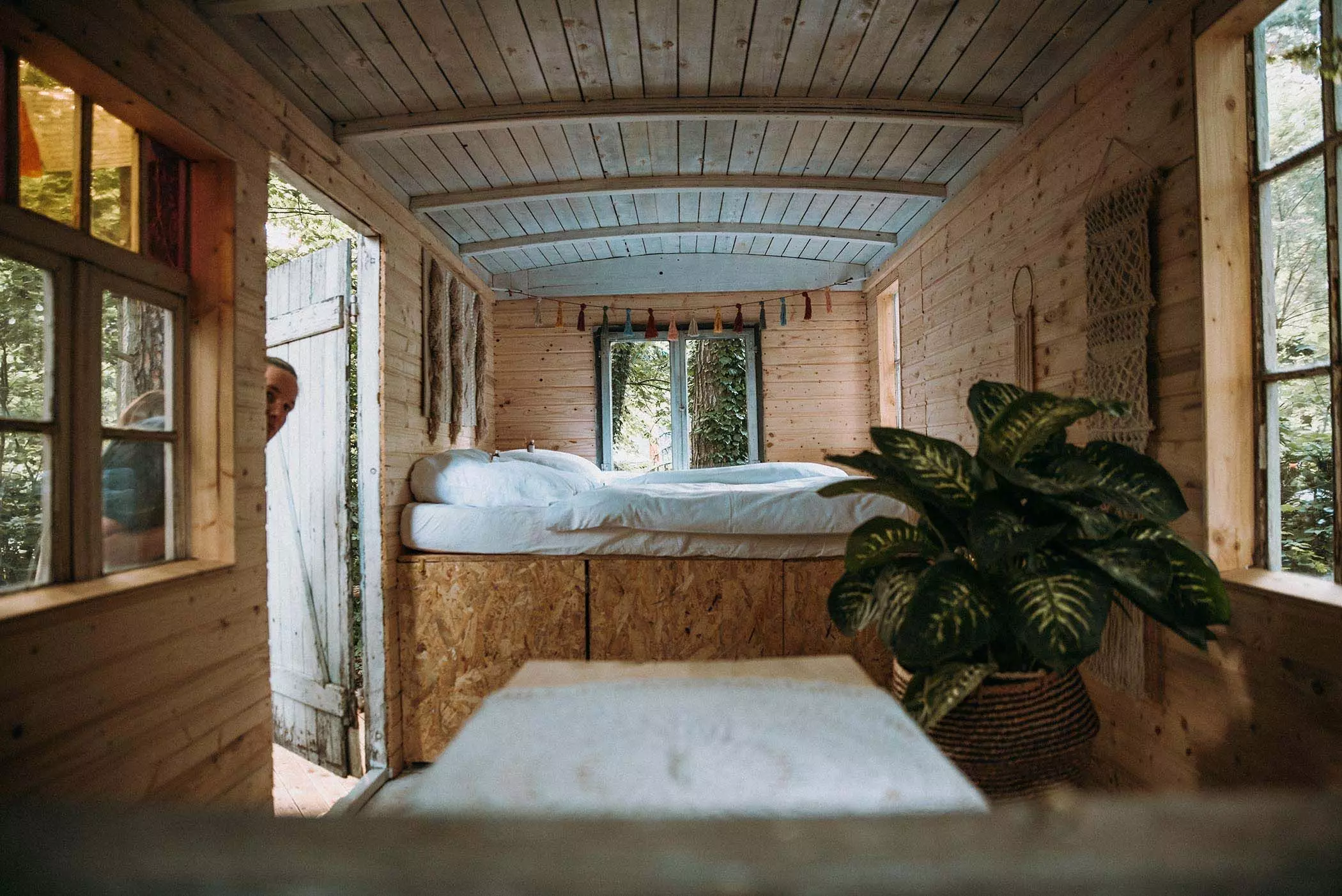 Cabin im Wald im Feel Free Yoga Retreat | femtastics