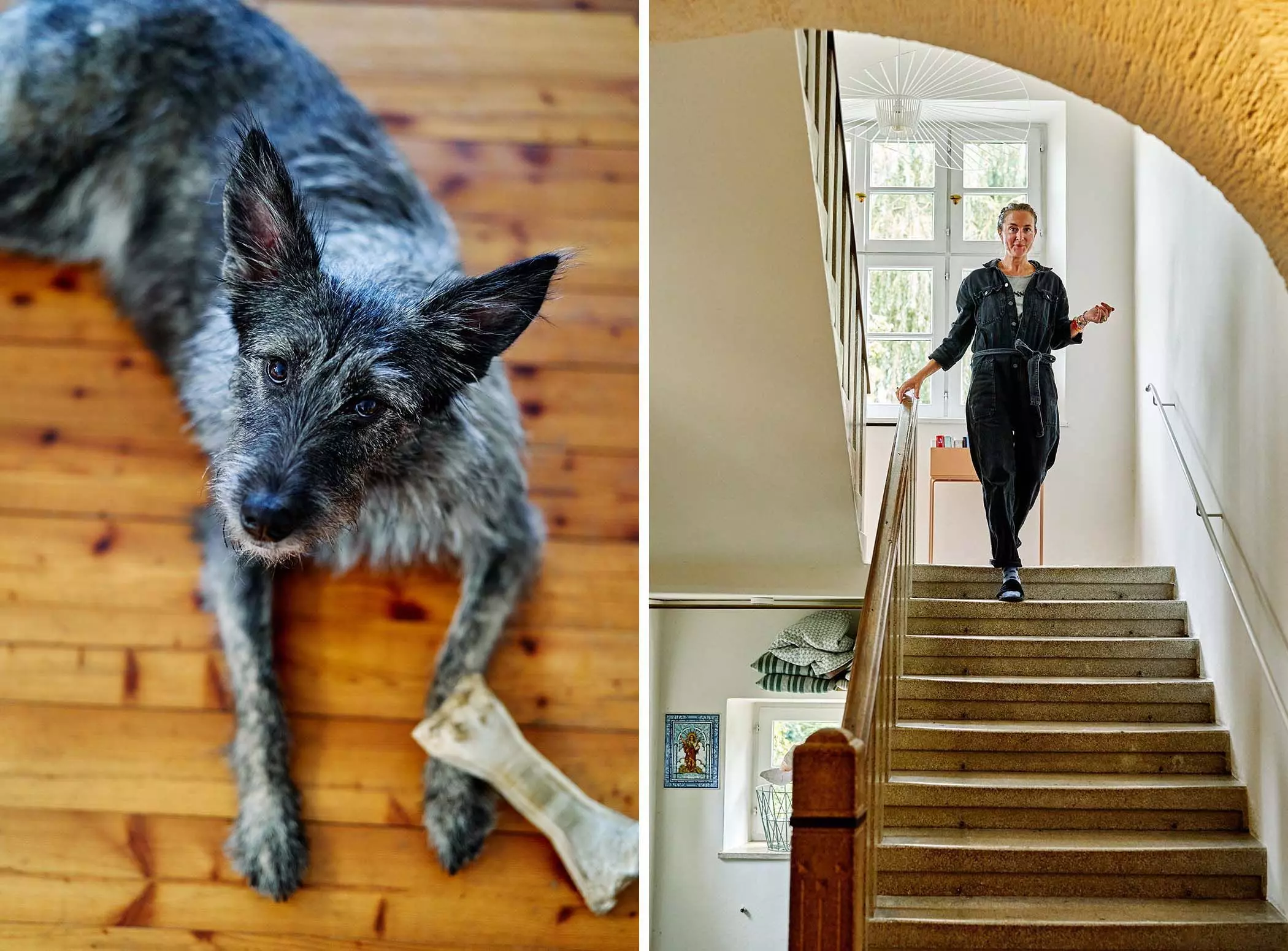 Anna Schäffel im Treppenhaus ihres alten Schulhauses - Hund blickt in die Kamera - femtastics