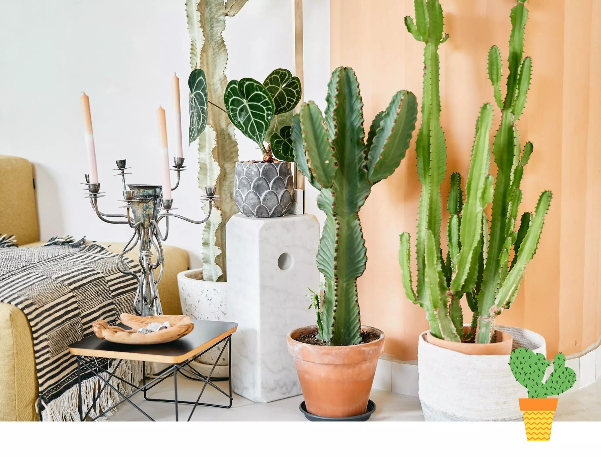 18-kakteen-kristina_mia_martin_016