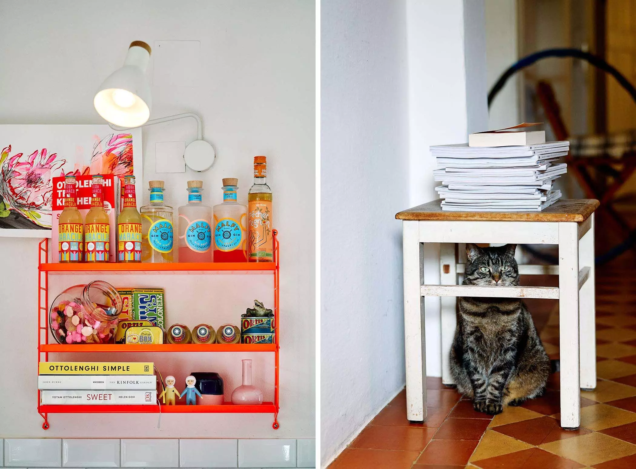 Orangefarbenes Regal und Katze im alten Schulhaus von Anna Schäffel - femtastics