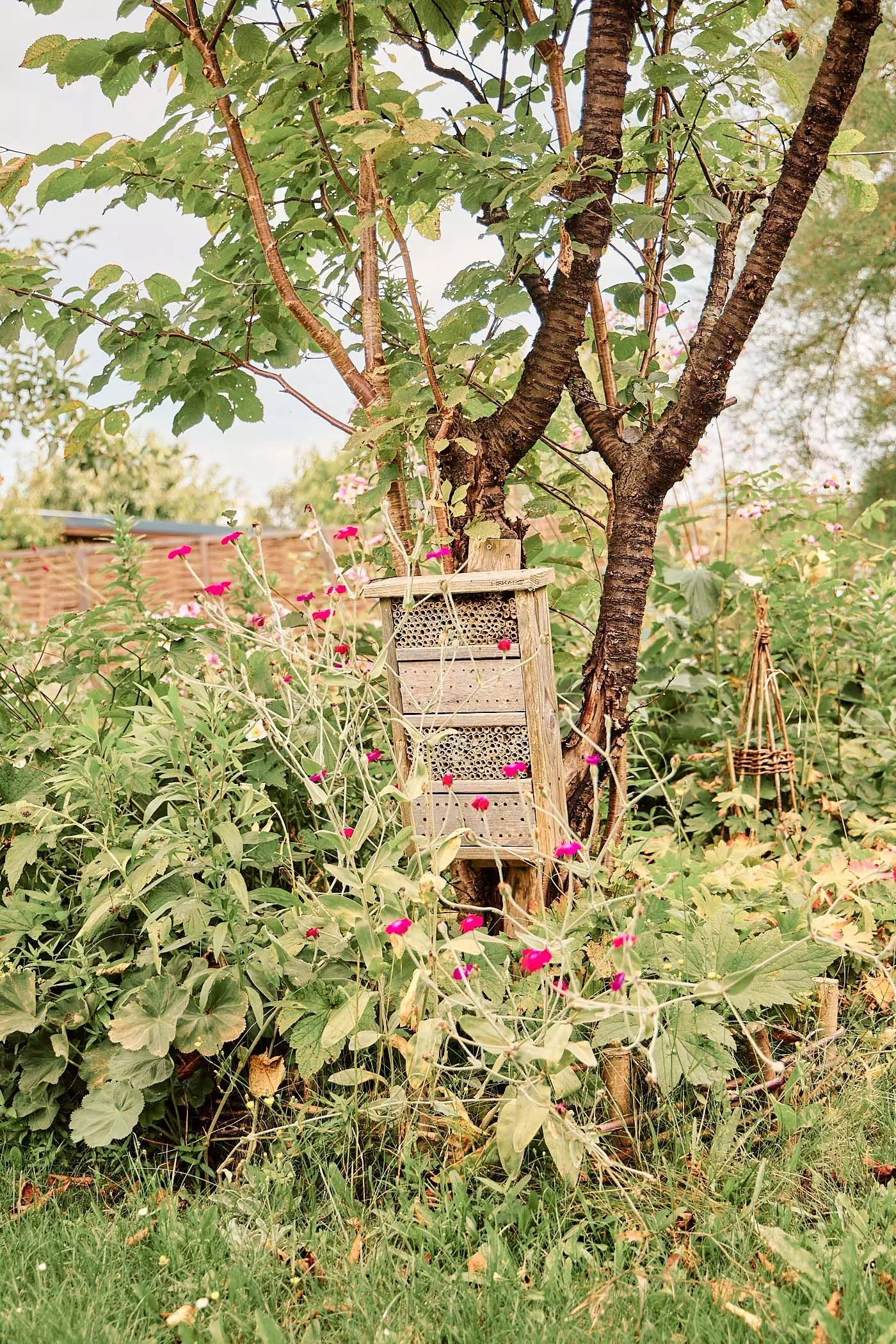 2024_07_23_femtastics_Lovis_011