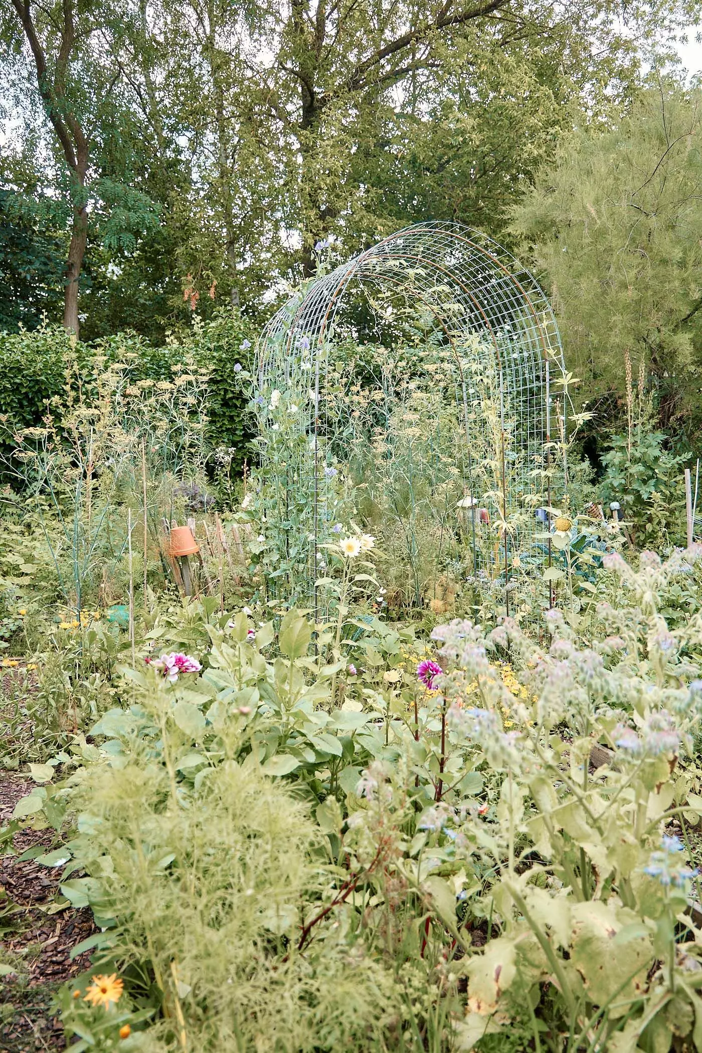 2024_07_23_femtastics_Lovis_021